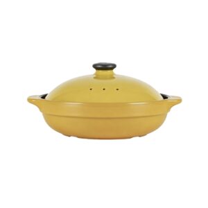 WDB ceramic cooking pot